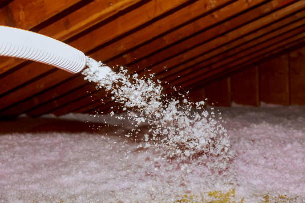 Best Insulation Materials and Products in Pretty Bayou, FL