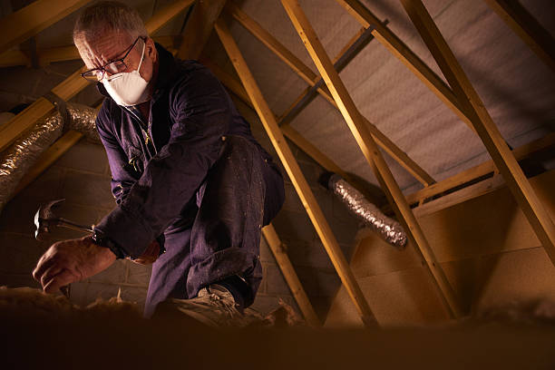 Best Types of Insulation in Pretty Bayou, FL